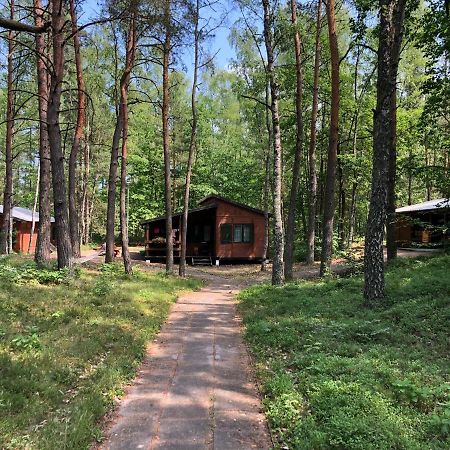 Leśnik Bungalow Stegna  Bagian luar foto