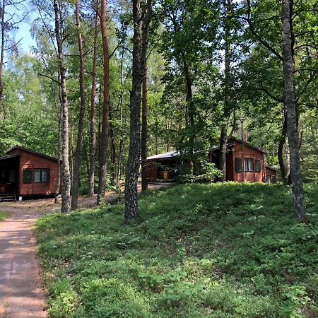 Leśnik Bungalow Stegna  Bagian luar foto