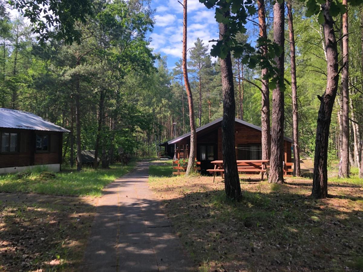 Leśnik Bungalow Stegna  Bagian luar foto