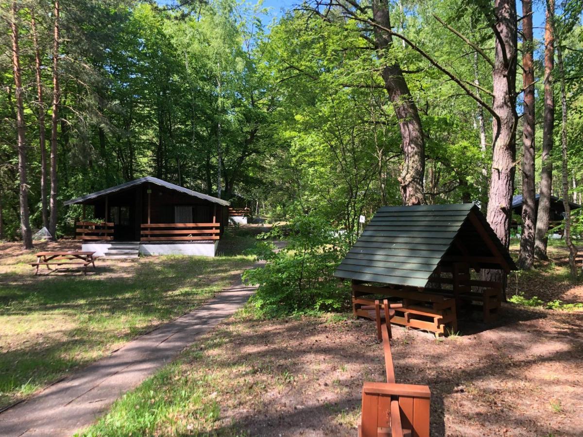 Leśnik Bungalow Stegna  Bagian luar foto