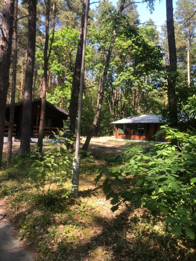 Leśnik Bungalow Stegna  Bagian luar foto